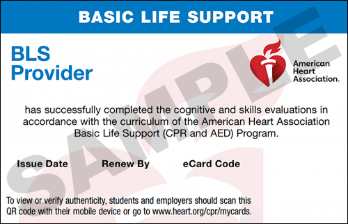 Sample American Heart Association AHA BLS CPR Card Certification from CPR Certification Providence
