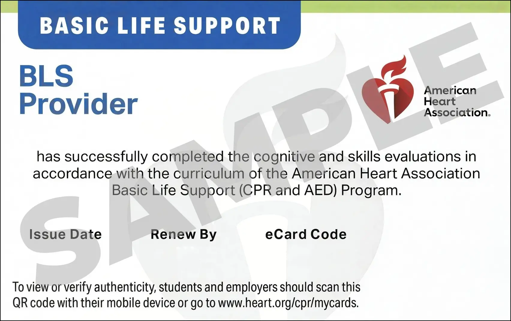 Sample American Heart Association AHA BLS CPR Card Certification from CPR Certification Providence